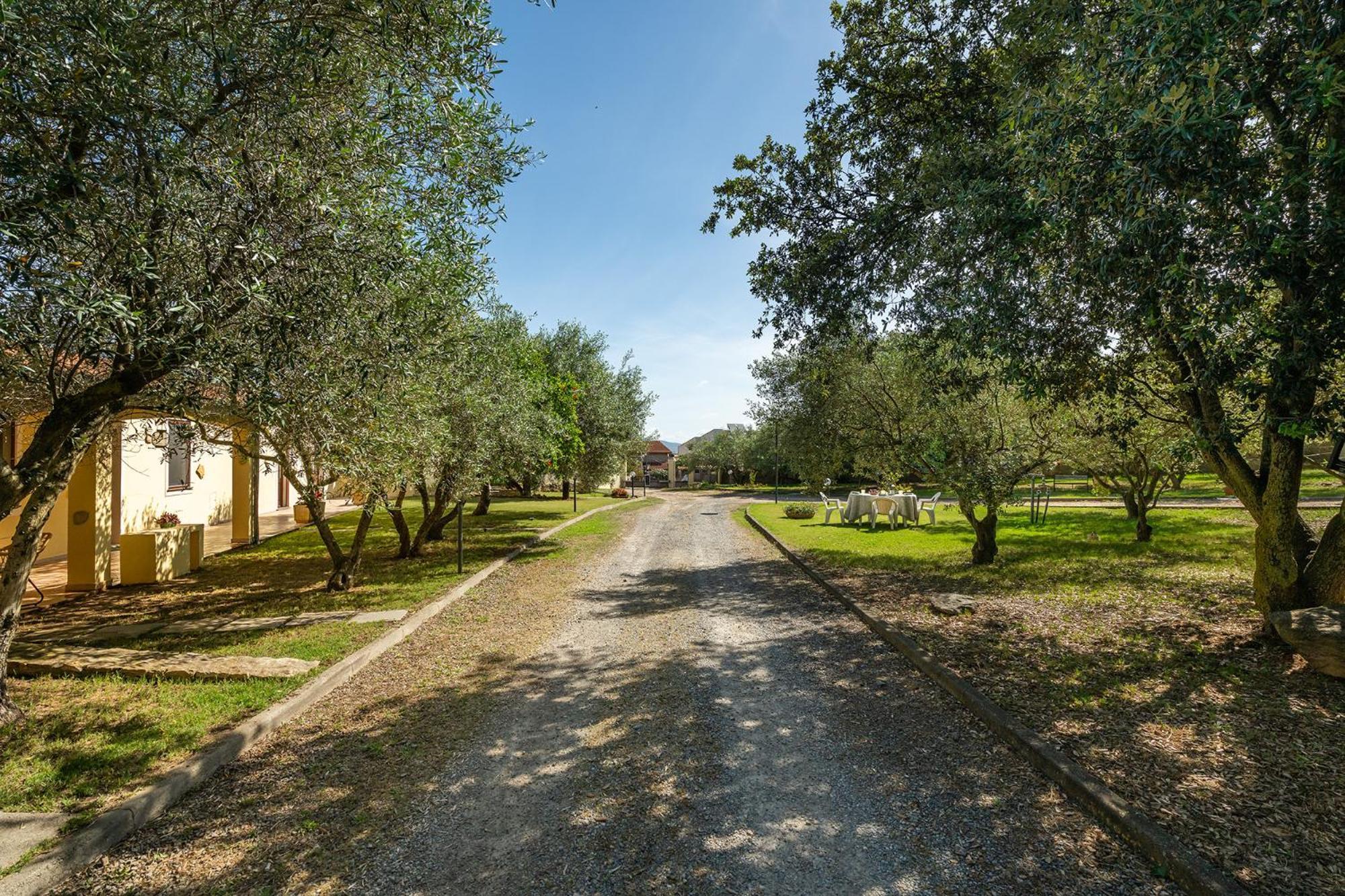 Residenza Parco Degli Ulivi Villa Villamassargia Eksteriør bilde